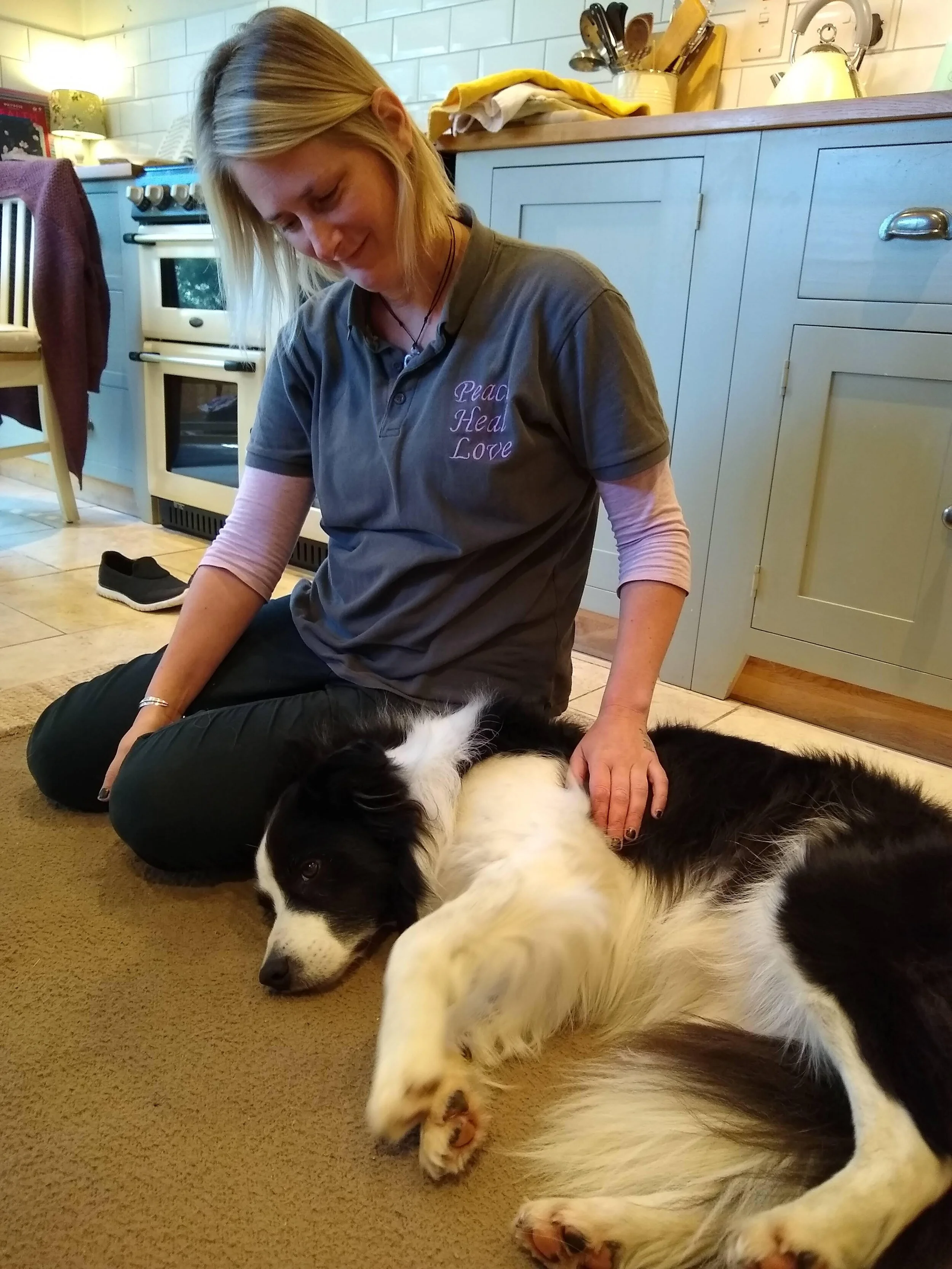 Canine bowen therapy 2024 course